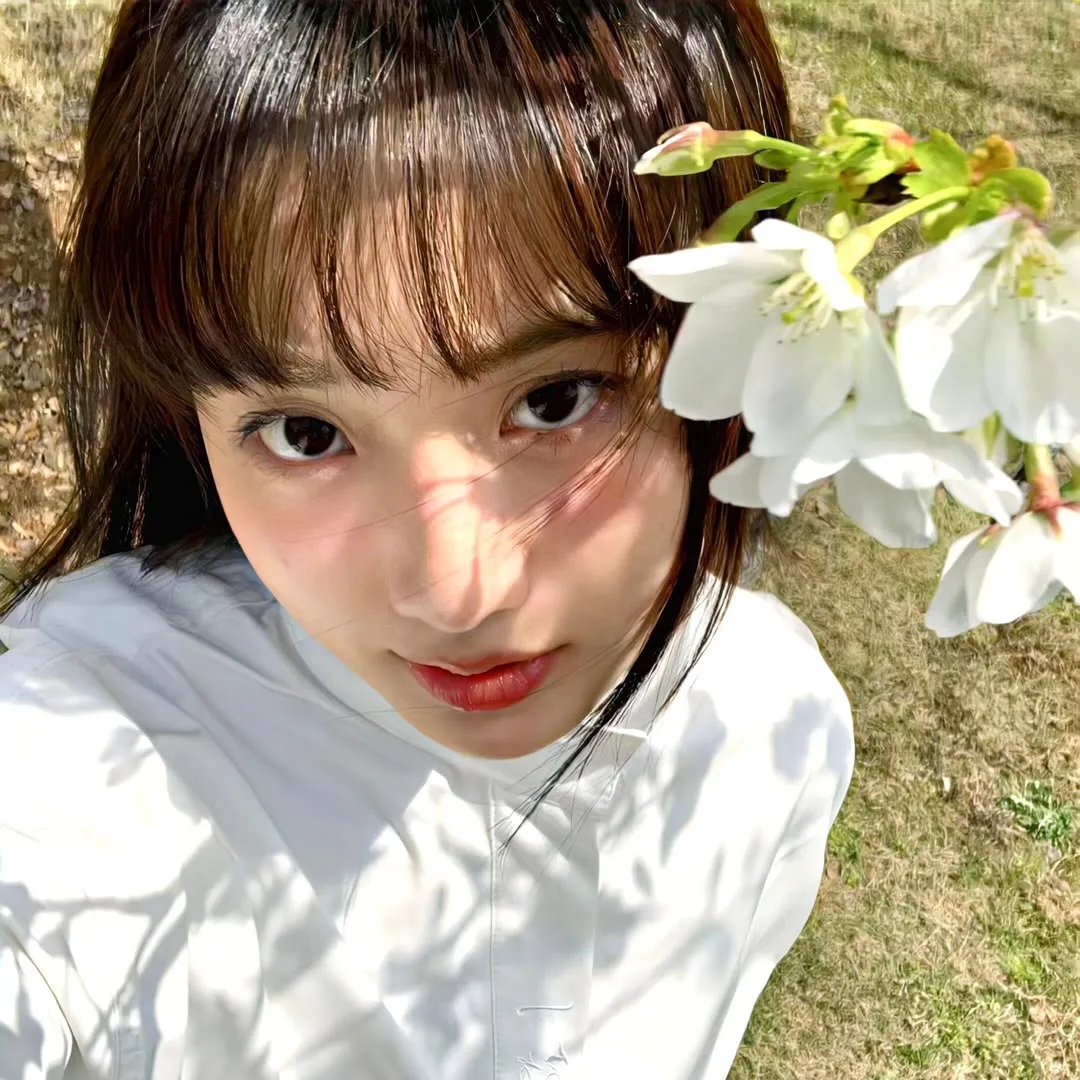 探险活宝第七季