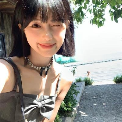 与鲨同游